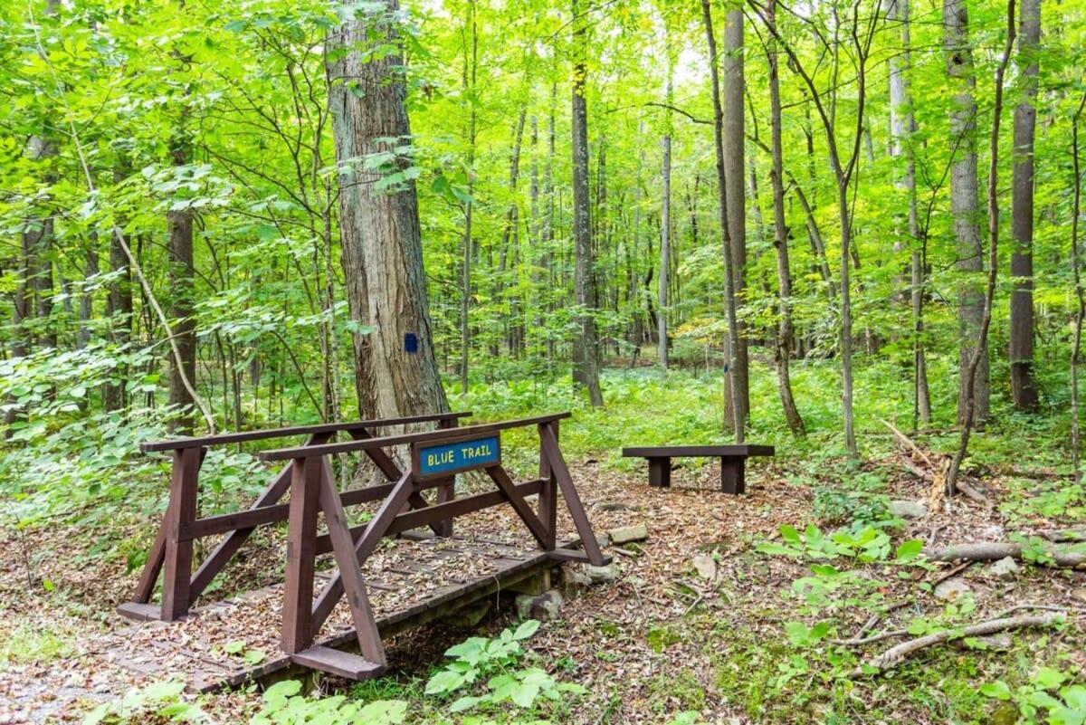 Huge Deck, Comm Pool, Grill, WiFi at Coolfont Cabin Berkeley Springs Eksteriør billede
